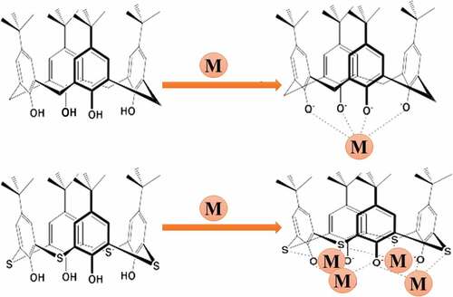 Figure 6. A comparison of the complex formation (By means of cationic metal ion) between p-tert-butylcalix[4]arene and p-tert-butylthiacalix[4]arene.