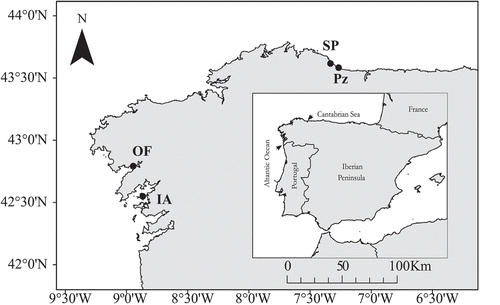 Fig. 1. Study locations on the NW Iberian Peninsula (Galicia). Pz, Peizás; SP, San Pedro; OF, O Freixo (Ría de Muros); IA, Isla de Arousa (Ría de Arousa). The black arrow shows the current rear-edge distribution limits along the Iberian Peninsula