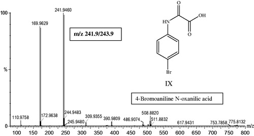 Figure 5. Negative ion mass spectrum and structure of metabolite IX (4-bromo N-oxanilic acid), eluting at 32.32 min in the urine.