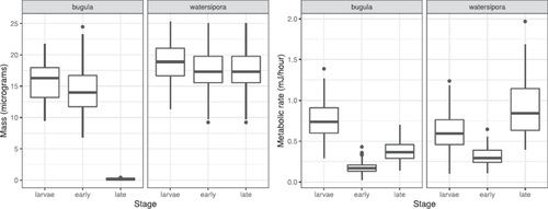 Fig. 1 Distributions of bryozoan mass and metabolic rate by species and stage, in the original (uncorrected) data.
