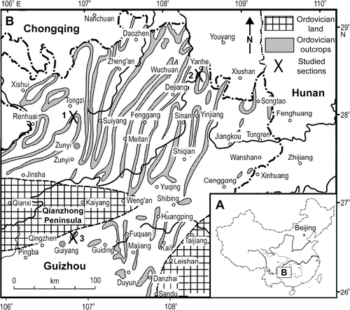 Fig. 1 Locality maps of the studied areas. A, Map of China showing the location of Guizhou Province. B, Map of northeast Guizhou showing the locations of three sections sampled for this study (Geological information modified from Gao, Citation1976): (1) Honghuayuan Section of Tongzi; (2) Ganxi Section of Yanhe; (3) Huanghuachong section of Guiyang in Guizhou.