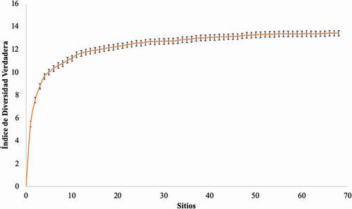 Figura 3. Curva de acumulación del Índice de Diversidad Verdadera con intervalos de confianza al 95% en el Caribe hondureño y nicaragüense, en donde el valor acumulado fue de 12,81