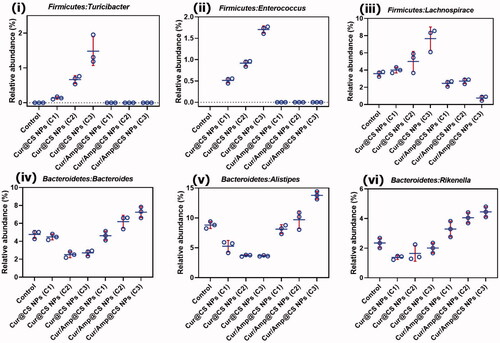 Figure 9. Quantitative values of relative abundance (RA) of genera in microflora; (i) Firmicutes: Turicibacter, (ii) Firmicutes: Enterococcus, (iii) Firmicutes: Lachnospiraceae, (iv) Bacteroidetes: Bacteroides, (v) Bacteroidetes: Alistipes, and (vi) Bacteroidetes: Rikenella species after 28-day administration of prepared Cur@CS NPs and Amp/Cur@CS NPs at different concentrations in rat models.