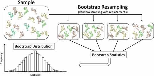 Figure 3. Summary of bootstrapping process.