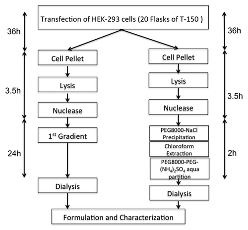 Figure 1. Time-line comparison of PEG/(NH4)2SO4 two phase aqueous partitioning and first generation CsCl ultrahigh speed centrifugation.