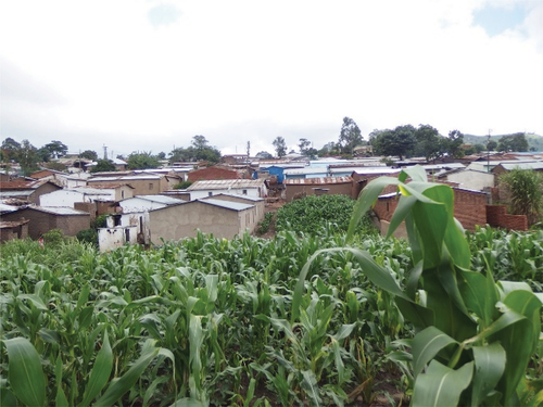 Informal settlement in Blantyre, the study area in Malawi. Photo: Heather Roxburgh.