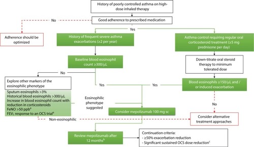 Figure 3 Clinical profiling of patients to inform consideration of mepolizumab therapy.