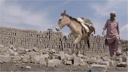 FIGURE 1. A mule and handler in a brick factory in the Kathmandu Valley, Nepal.