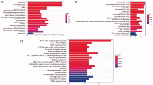 Figure 8. (a) CC analysis. (b) MF analysis. (c) KEGG pathway.