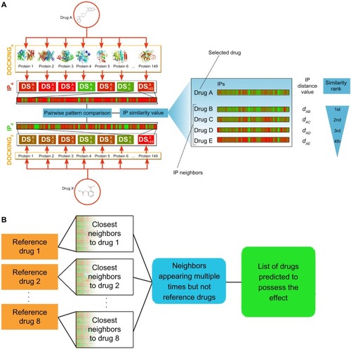 Figure 1 Summary of the oDPM.