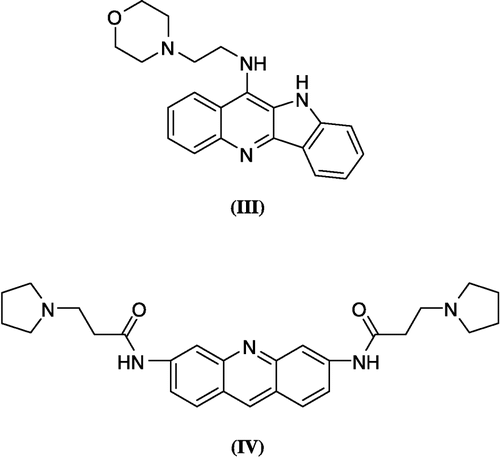 Figure 2 Potent telomerase inhibitors through G-quadruplex stabilization.