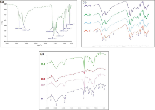 Figure 5 FTIR spectrum of pure metformin HCl powder corresponding to the solid green line (a), all batches metformin HCl loaded microspheres (b) and nanoparticles (c). Four batches of microspheres (A1, A2, A3 and A4 designated by solid Orange, blue, green and purple line respectively) and four batches of nanoparticles (B1, B2, B3 and B4 designated by solid purple, pink, red and green line respectively).