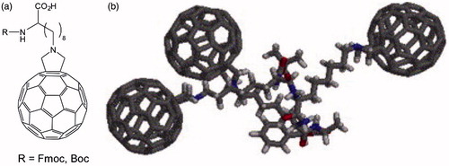 Figure 8. The [60]fullerene Fmoc-Af8-OH (Af8: 2-amino-8-fulleropyrrolidinoalkanoic acid) (a) and a computer model of tetrapeptide Boc-(Af8)3-Ala-OBzl (b)Citation35.