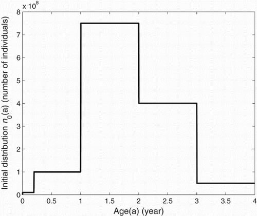 Figure 2. Initial distribution of the population. The initial values are derived from [Citation4].