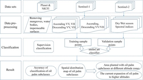 Figure 3. Workflow diagram of the global oil palm subclass classification.