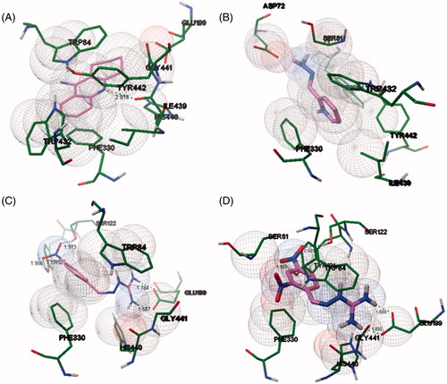 Figure 7. Docking interaction of tacrine (A), compounds 2 (B), 6 (C), and 11 (D) in the active site of TcAChE using carbon in magenta. H-bond distances in angstroms. For references to color, see the online version of the article.