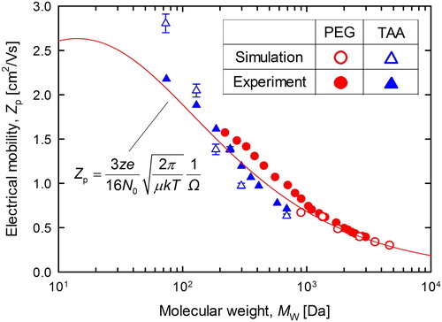 Figure 4. Molecular weight dependence of electrical mobility: experimental, simulated, and theoretical.