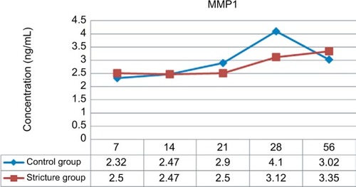 Figure 1 MMP1 levels in the urethral stricture group were lower than the control group on days 21 and 28.
