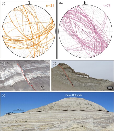 Figure 7. (a, b) Lower-hemisphere, equal-area projections of faults (great circles) and associated slip vectors (dots; recorded by striae and/or mineral fibres on fault surfaces) of the Eocene-Oligocene (orange) and Miocene (purple) successions measured at Gramadal (a), and Cerro de Los Zanjones, Cerro Mama y la Hija, Ullujaya and Cerro Colorado (b). Stereographic projections were made using Stereonet v. 11 software by Richard W. Allmendinger; (c) three-dimensional oblique aerial view from Google Earth of a spectacularly exposed fault-parallel, NE-plunging anticline in the immediate hanging-wall of a NE-trending, SE-dipping main fault (thick red line; squares give dip direction). The hanging-wall anticline incorporates lower to upper Miocene strata (Chilcatay and P1) before it is truncated upwards by the PE0.2 unconformity. The fold is dissected by secondary faults (thin red lines) that strike parallel and probably connect downwards to the adjacent main fault. A set of NNW- to NNE-striking normal faults (blue lines) offset and postdates the NE-striking fault and related hanging-wall anticline and secondary faults. The black dotted line and the black rectangle indicate a sandstone marker bed and position of photograph shown in (c), respectively; (d) field photograph looking northwards along the NE-trending fault shown in (c) (14°22'11"S – 75°52'42"W). Fault dips 65° SE and displays apparent normal-type displacement. The sandstone marker bed is indicated; (e) southeastwards view of P1 and P2 strata at Cerro Colorado (approximately 14°20'48"S-75°53'56"W). Bedding dips progressively decrease up-section indicating deposition of the upper Miocene strata during a period of syndepositional uplift and tilting. This fanning-dip geometry can be confidently related to the uplift of the fault-bounded basement high at the south-western margin of the EPB and landward tilting of the Miocene strata.