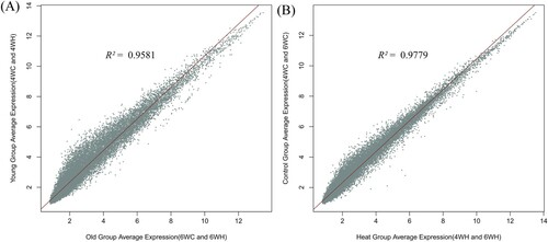 Figure 2. Correlation of average expression between experimental groups (A) Average expression comparison of the 4-week-old group (4WC and 4WH combined) against the 6-week-old group (6WC and 6WH combined). (B) Average expression comparison of the thermoneutral control group (4WC and 6WC combined) against high-temperature group (4WH and 6WH combined).