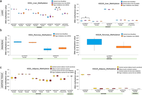 Figure 5. DNA methylation of KISS1 and KISS1R promoters in human peripheral tissues from individuals with type 2 diabetes mellitus (DM2) or obesity and in healthy controls. KISS1 and KISS1R DNA methylation levels at single CpG site in promoter regions in the liver (a), pancreas (b), and adipose tissue (c) of patients with DM2 vs. healthy individuals or individuals with obesity (controls), based on the DNA methylation Illumina microarray data from publicly available datasets in the Gene Expression Omnibus (GEO) database. Results expressed as min, IQR, and max of the array intensity (beta values = DNA methylation value)); *P < 0.05. Patient characteristics corresponding to the data are depicted in Supplementary Table S3.