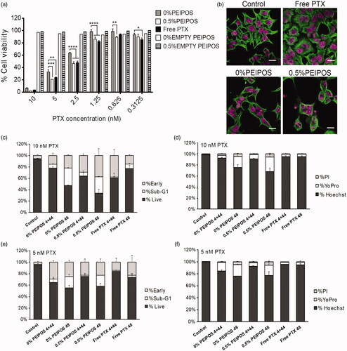 Figure 4. Cell viability and investigation of PTX course of action on HeLa cells. (a) Cytotoxicity profile of HeLa cells after continuous treatment with the formulations for 48h or 4 + 44h in serum-complete medium. Empty PEIPOS consists of formulations without PTX used at the same lipid concentration as those containing PTX. Data shown indicate triplicate mean ± SD from a blinded experiment. *p < .05, ***p < .0005, ****p < .0001, two-way ANOVA with Tukey’s multiple comparisons test. (b) Immunofluorescent detection of liposomal PTX-mediated? -tubulin polymerization on HeLa cells. Nuclei of the cells were stained with Hoechst (magenta), and? -tubulin structures stained green. (c-f) LSC analysis of HeLa cells treated with different formulations and for different time points. (c) and (d) Cell cycle distribution depending on the gating outlined in figure S2a for different time points, treatments, and PTX concentrations. (e) and (f) Analysis of the cells at their different stages indicated by the nuclei staining with Hoechst, early apoptotic cell staining with YoPro and necrotic cell staining with PI. Scale bars = 20 µm.