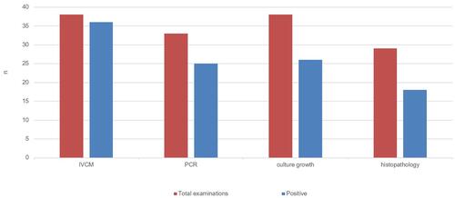 Figure 1 Total examinations performed and the number of positive examinations obtained for fungal infection in absolute numbers.