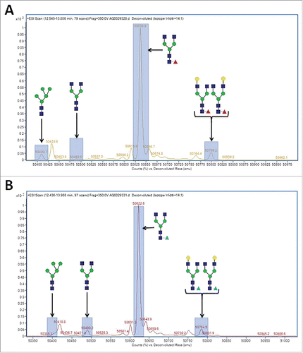 Figure 5. Reduced LC-MS spectragraph of purified mAb-1 expressed in CHO cell culture under different conditions. (A) Control culture, with glucose as the principal sugar. (B) Experimental culture, with glucose and D-arabinose as the principal sugars.