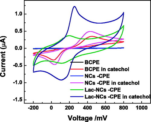 Figure 4. CVs of BCPE, α-Fe2O3NCs–CPE, and Lac-α-Fe2O3NCs–CPE in presence of 0.2-M pH 7 PBS solution in presence and absence of 1-mM catechol at a scan rate of 50 mV s−1.