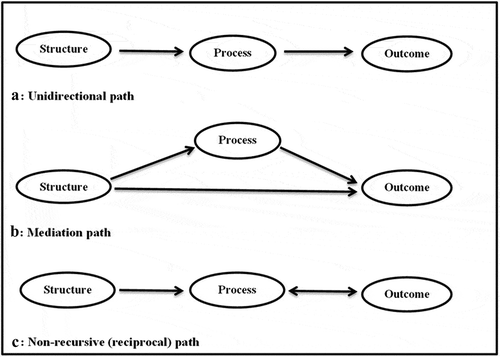 Figure 2. Pathways used to operationalise Avedis Donabedian’s theory of quality of medical care in the intergrated model