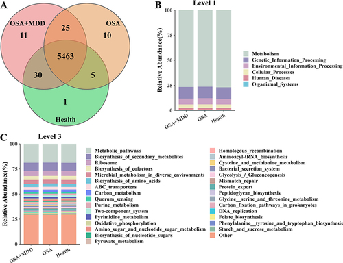 Figure 5 Identification of the microbiota functional pathways in the HC, OSA, and OSA+MDD groups. (A) The Venn diagram shows the number of identified microbiota functional pathways and shared microbiota functional pathways of the HC, OSA, and OSA+MDD groups. The functional pathway abundance histogram shows the relative abundance distribution of microbiota functional pathways at KEGG level 1 (B) and level 3 (C) in the three groups.