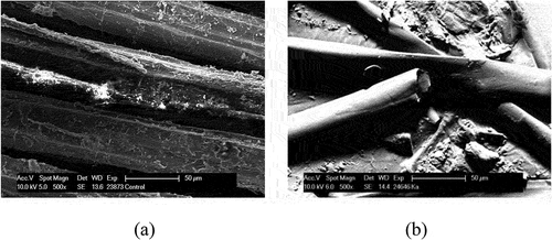 Figure 1. SEM micrograph of a) raw kenaf and b) raw kapok fiber.