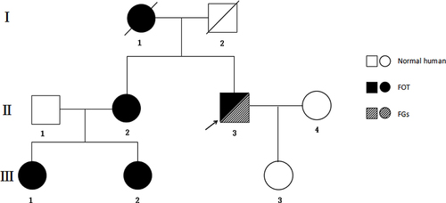 Figure 3 This is the family genetic genealogy.