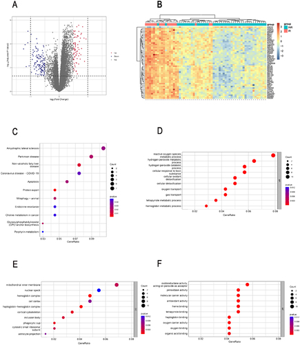 Figure 1 Identification of DEGs between INRs and IRs. The volcano (A) and heatmap (B) presented the expression of DEGs in GSE143742. (C)The KEGG pathways enriched by DEGs. The top 10 terms of BP (D), CC (E), MF (F) of GO annotation were enriched by DEGs.