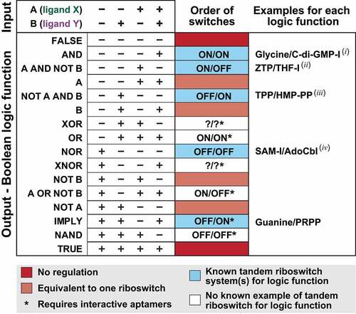 Figure 2. All theoretical two input Boolean logic gate systems and their relationship to riboswitch gene control systems. Depicted are the truth tables [Citation28] for all possible gene regulation logic gate systems based on the presence (+) or absence (−) of ‘inputs’ A and B, where A represents the cognate ligand of the first RNA domain and B represents the cognate ligand for the second domain (e.g. ligands X and Y as presented in Figure. 1). There are four possible combinations of ‘inputs’ (presence or absence of A or B occupying the aptamer binding pocket) and 16 possible gene expression ‘outputs’, i.e. whether expression of the downstream gene is on (+) or off (−). Each output is named for its corresponding Boolean logic function [Citation28] and is coloured to reflect its known or possible riboswitch manifestation. Note that ‘FALSE’ and ‘TRUE’ outputs (dark red) are not switches, and therefore have no utility for gene control. ‘A’, ‘B’, ‘NOT A’, and ‘NOT B’ outputs (light red) represent gene control outcomes that are identical to those achievable by single riboswitches with a single ligand input, and therefore tandem arrangements are unnecessary. Natural examples of five of the remaining ten genetically practical two-input Boolean logic gate functions are known to exist (blue). White boxes indicate that a tandem, two-input riboswitch system has not yet been observed in nature. Question marks indicate that it is not apparent how tandem riboswitches would function to create XOR and XNOR logic gates. Published examples are presented for the five known logic gates as follows: C-di-GMP-II/Group I Rz [Citation59], ZTP/THF [Citation89], TPP/HMP-PP [Citation105], SAM-I/AdoCbl [Citation25], and Guanine/PRPP [Citation56]. Additional examples include (I) T boxLeu/ppGpp [Citation56] and glycine/c-di-GMP (this study); (ii) ZTP/glycine (this study), Na+-I/c-di-AMP [Citation118], and SAM-I/T boxMet (this study); (iii) T boxMet/SAM-I (this study), AdoCbl/C-di-GMP-I (this study), AdoCbl/C-AMP-GMP (this study), Adenine/T boxTyr (this study), Glycine/T boxSer (this study) and AdoCbl/T boxVal (this study); (iv) AdoCbl/SAM-I (this study) (Table 2).