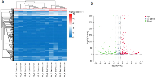 Figure 2 Identification of differential expressed exosomal miRNAs. (a) Clustering hierarchy of the differential expressed exosomal miRNAs between RA patients and the healthy control subjects. Red rectangles indicate high levels of expression, and blue rectangles indicate low levels of expression; (b) volcano plot analysis of differential expression of exosomal miRNAs between RA patients and the healthy control subjects. The red plots indicate upregulated gene expression, the grey plots indicate nonsignificant genes, and the green plots represent genes that were downregulated.
