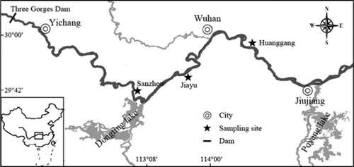 Figure 1. Map showing the sampling sites of silver carp (Hypophthalmichthys molitrix).