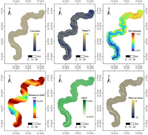 Figure 4. LCFs.