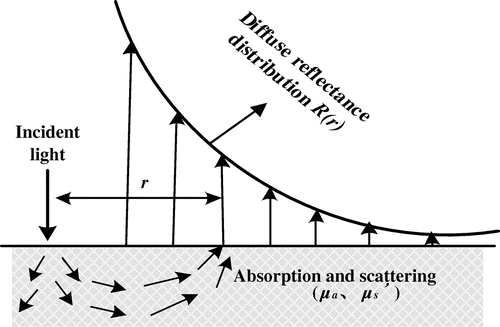 Figure 1. Schematic of the steady-state spatially resolved measurement technique.