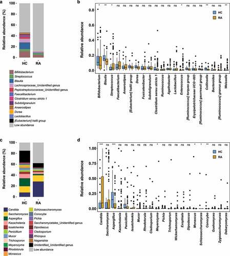 Figure 1. Fecal microbial community composition in healthy controls and patients with RA. (a) Bacterial community composition at the genus level. (b) Pairwise comparison of abundant bacterial genera. (c) Fungal community composition at the genus level. (d) Pairwise comparison of abundant fungal genera. Taxa with abundance < 0.5% are grouped as “Low abundance.” In panels b and d, boxes and lines represent the interquartile ranges (Q3-Q1) and medians of relative abundances, respectively. Black dots indicate potential outliers. Lower and upper whiskers show minimum and maximum relative abundances of genera. Statistical significance was estimated by two-sided Mann–Whitney U test. ***, P < .001; **, P < .01; *, P < .05; ns, P > .05 (not significant). HC, healthy controls; RA, patients with RA.