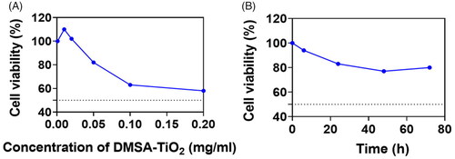Figure 3. The cell viability examination of HAoECs incubation with DMSA-TiO2. (A) HAoECs was incubate with DMEM medium featuring increasing concentrations (0.001, 0.01, 0.02, 0.05, 0.1, 0.2 mg ml−1) of the DMSA-TiO2 for 24 h. (B) HAoECs was incubate with DMEM medium featuring concentration (0.05 mg ml−1) of the DMSA-TiO2 for 24 h.