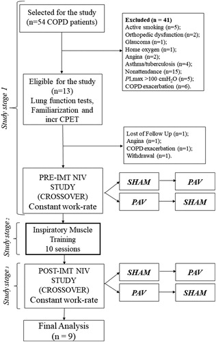 Figure 1. Flow-chart adapted from CONSORT 2010.