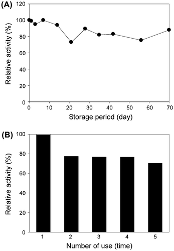 Fig. 3. Stability of the bulb enzyme immobilized on DIAION-HPA25L resin.Note: (A) Time-course change in the PosB-converting activity during the 70-day storage period. (B) Effect of the number of uses on the PosB-converting activity. The activity at the initial use was set to 100%. The immobilized enzyme collected after each reaction was washed with water and used for the next reaction.