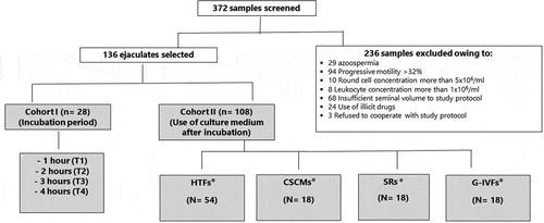 Figure 1. Study design. Out of a total of 372 screened samples, 236 were excluded for the reasons indicated leaving 136 samples for inclusion in the study. A first cohort of 28 samples was assigned to protocol 1 to determine the optimum incubation period to support the best motility parameters of asthenozoospermic samples. In protocol 2, a total of 108 samples were analyzed in different media (HTF®, CSCM®, SR® and GIVF®) using HTF® medium as a reference (3 sub-cohorts of 18 samples each = 54 samples).