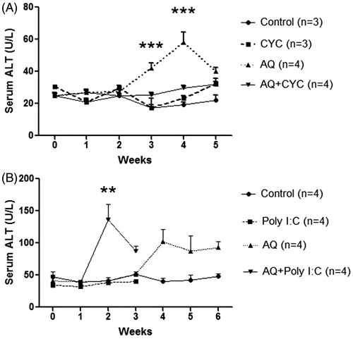 Figure 15. Time course of serum ALT during co-treatment with cyclosporine or Poly I:C in AQ-treated BN rats. Values shown are means ± SE (n = 3 or 4 animals per group). Data were analyzed for statistical significance by a two-way ANOVA. Value is significantly different from the control group; *p < 0.05, **p < 0.01, ***p < 0.001.