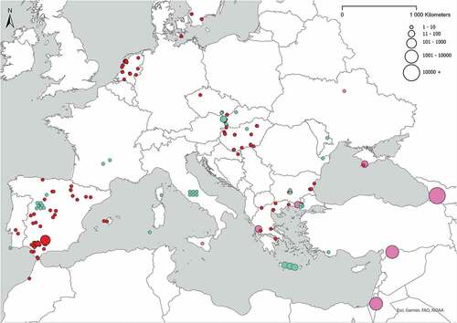 Figure 2. Black kites wintering in Europe – numbers and distribution according to data from open-access bird observation databases and personal observations from winter 2020/2021 (this work) (red circles – subspecies status undetermined; green circles – observations of black kites with lineatus features), data from previously published papers (Shirihai et al. Citation2000; Tsvelykh and Panjushkin Citation2002; Sarà M. Citation2003; Domashevsky Citation2009; Biricik & Karakaș Citation2011; Abuladze Citation2013; Literák et al. Citation2017) (rose circles – subspecies status undetermined), and data from a recent paper depicting observations of black kites with lineatus features (Panter et al. Citation2020; Skyrpan et al. Citation2021) and four further observations of black kites with lineatus features (see Table I) (green circles). The cluster of circles in Italy does not represent true positions but the occurrence of wintering black kites in Italy, because exact locations were not available in www.ornitho.it.