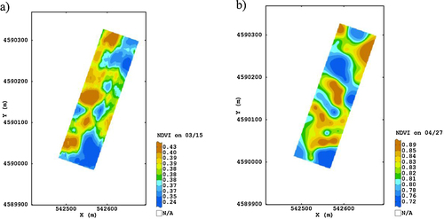 Figure 3 Spatial maps of Normalized Difference Vegetation Index (NDVI) at two growth stages: (a) at 03/15 and (b) at 04/27 of 2010 (Color scale uses isofrequency classes). The coordinate system was Universal Transverse Mercator (UTM - Zone 33 N) and the datum (reference ellipsoid) was WGS84.