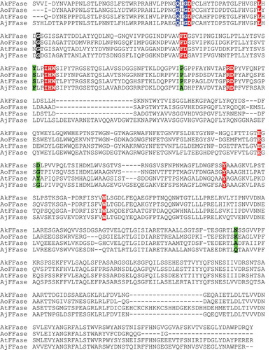 Figure 5. Comparison of amino acid sequences of AkFFase, AoFFase, AtFFase, and A. japonicus FFase (AjFFase).The sequences were aligned using ClustalOmega server. Colors: red, residues in subsites −1 and +1; black, Gly85 in AkFFase and the corresponding residues; blue, residues located inside the catalytic cleft other than those shown in red or black; green, residues that located distantly from the catalytic site but reportedly influence transfructosylation.