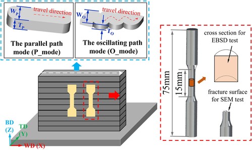 Figure 1. Schematic of specimen preparation process of WAAMed-IN718. (The letters ‘W’ and ‘T’ represent the width and thickness of the welding rod respectively.)