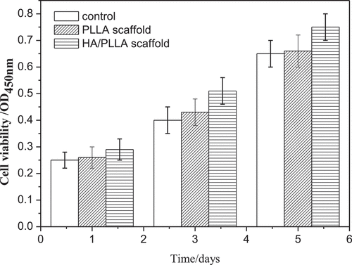 Figure 13. Cell viability of MC3T3-E1 cells cultured on different substrates after 5 days of incubation.